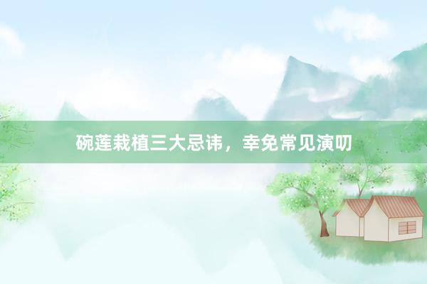 碗莲栽植三大忌讳，幸免常见演叨